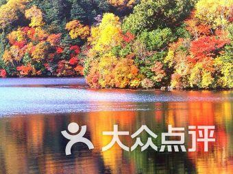 最终幻想世界