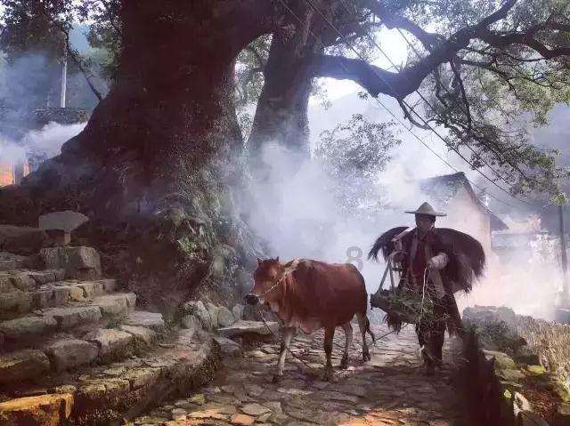 哮喘新“武器”！首个针对重度嗜酸粒细胞性哮喘药物获批
