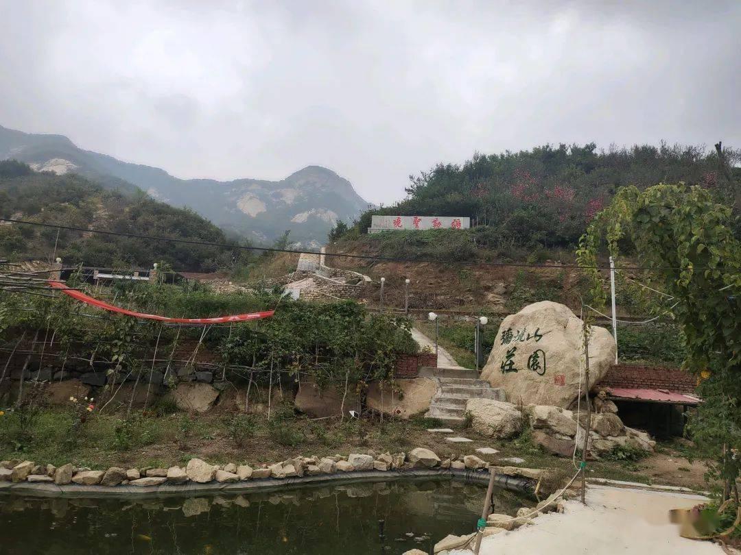 火药桶！沃特斯本赛季5次吃到违体犯规 全联盟最多