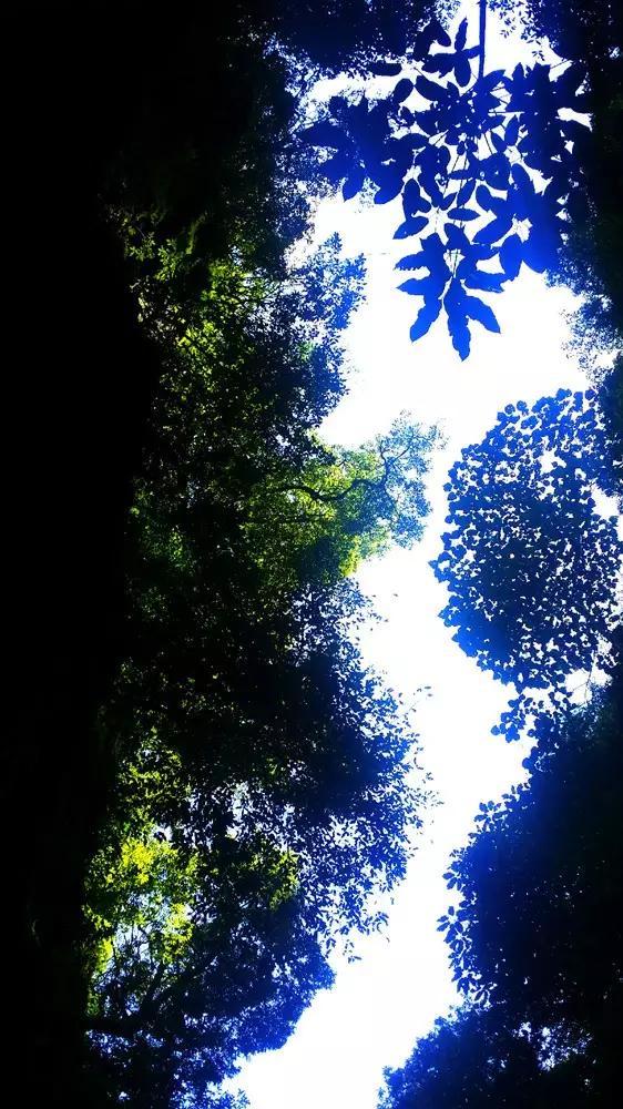 九梦仙域的陨铁配方：揭秘太古神族的神秘力量