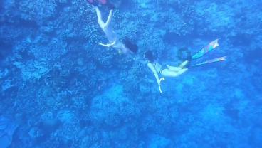 海口三港因雾停运!